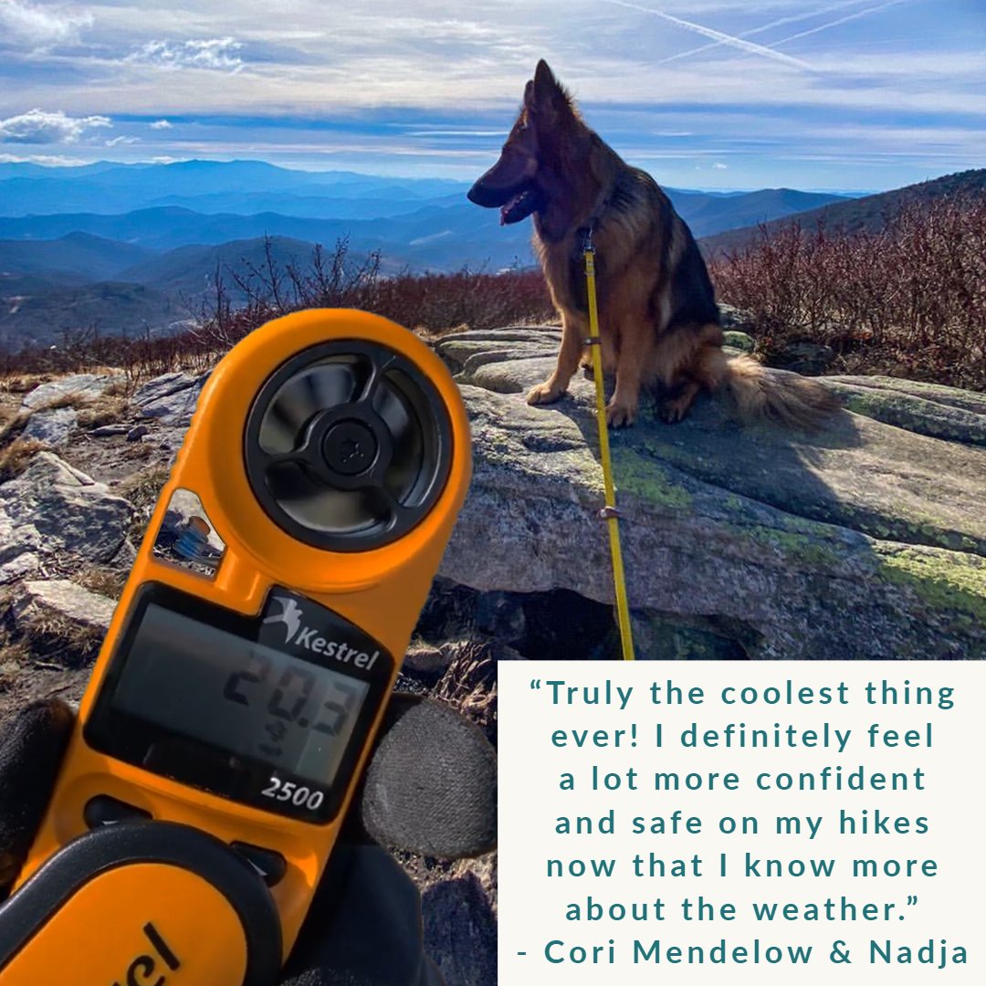 KestrelWeather's tweet photo. @goodgirlnadja with some awesome images and readings with her Kestrel 2500 in the Appalachian mountains! 🐕 🐕 💨 💨
#kestelinstruments #kestrel #windmeter #weathermeter #apppalachianmountains #appalachian #mountainpup #puppy #hiking https://t.co/AxwN9YNF9t