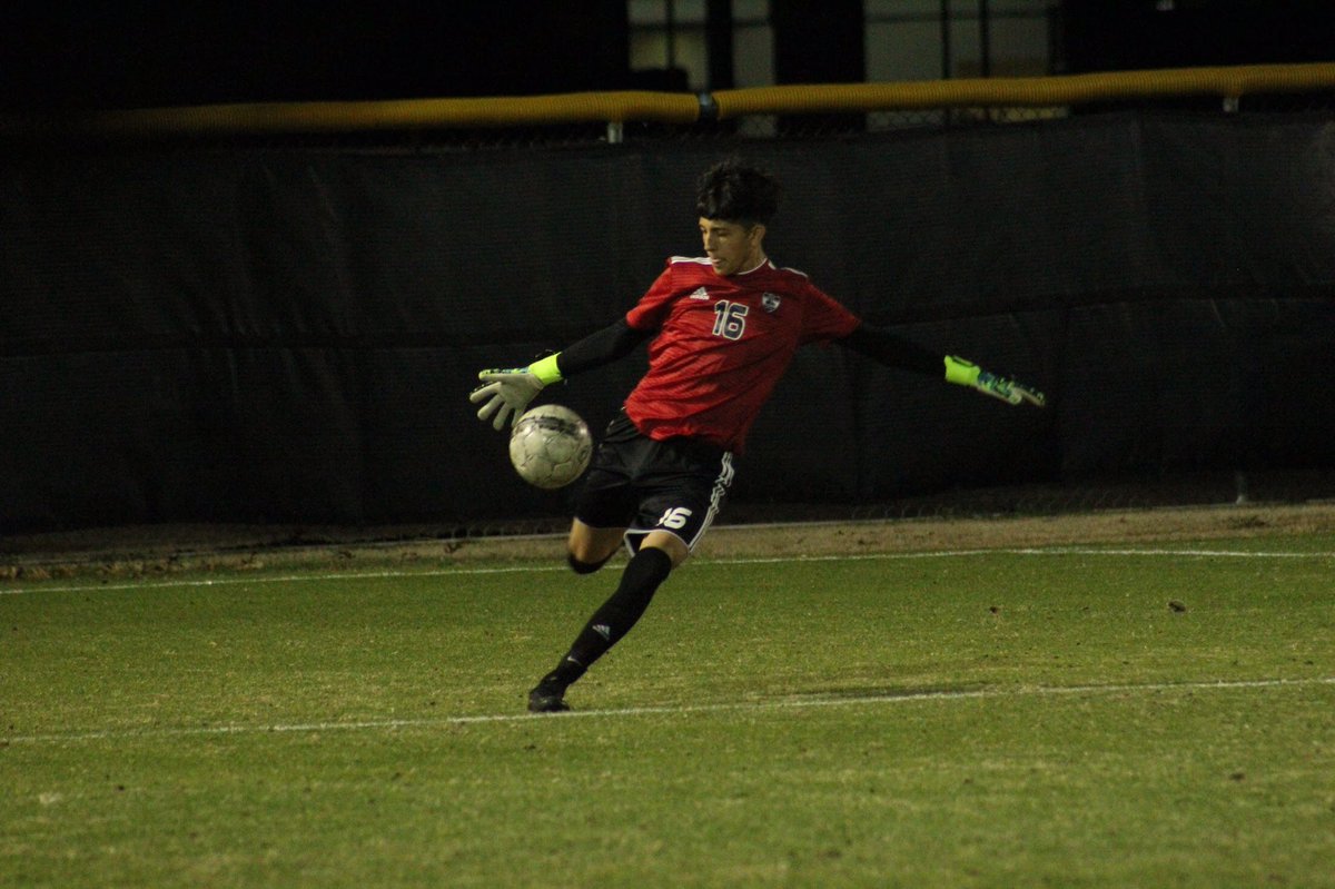 Photos of the week 📸