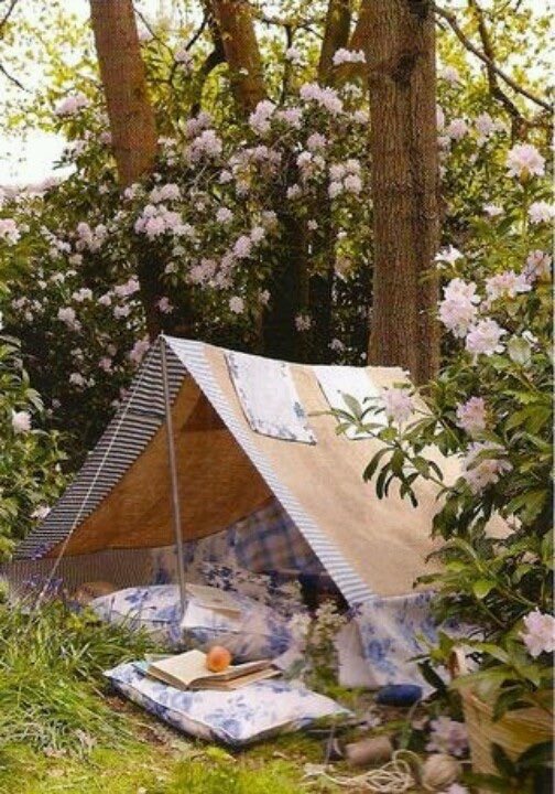 النزهة الريفية 💘.