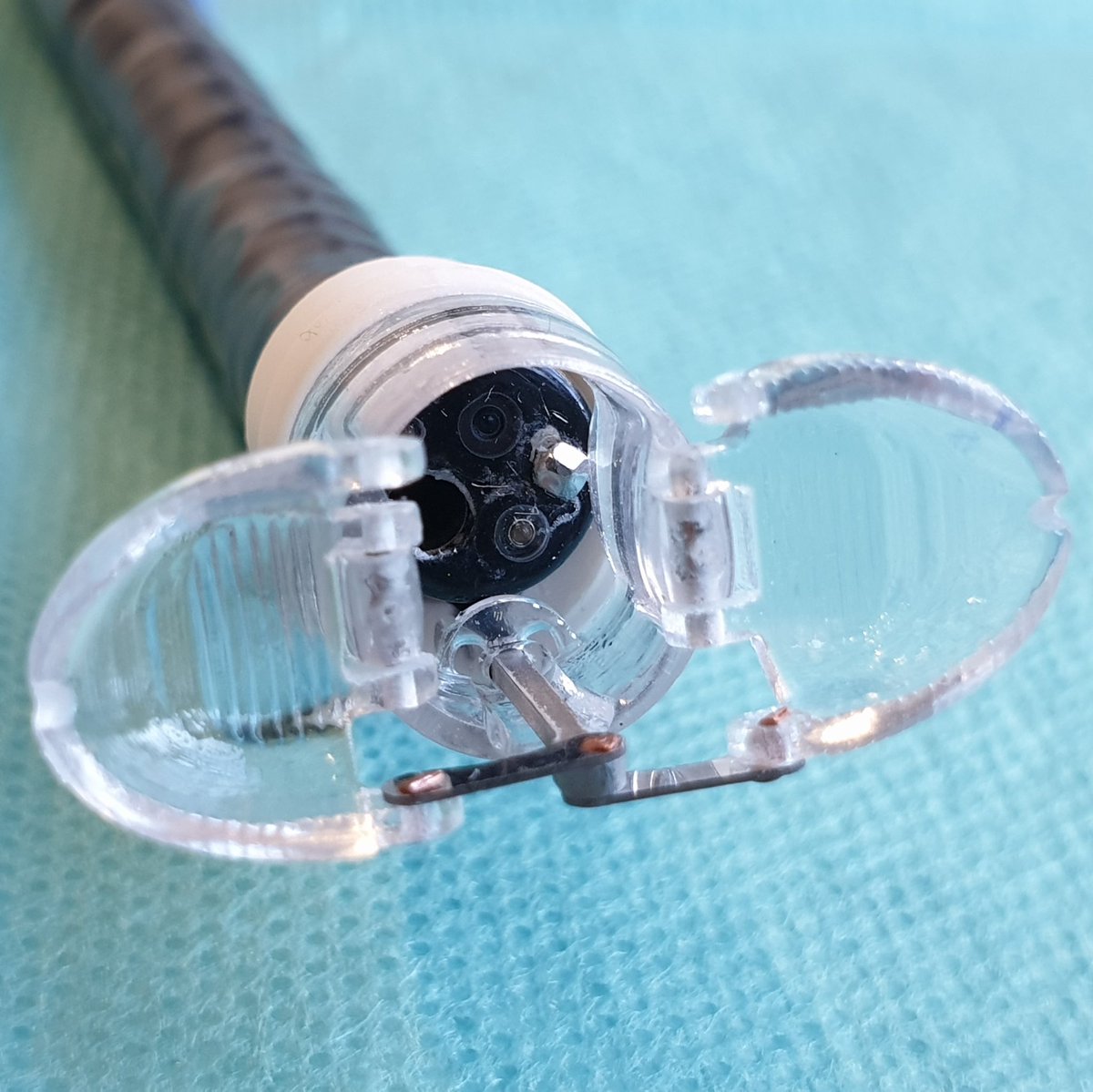 AlexMeining's tweet photo. just received a note from #esge that the scientific committee has chosen the over-the-scope-grasper as Innovation of the Year 2019. Thanks to #esge and #ovesco for the fantastic cooperation in developing the OTSG! First data will be presented @esgedays in Dublin. https://t.co/DJX0ry96qp