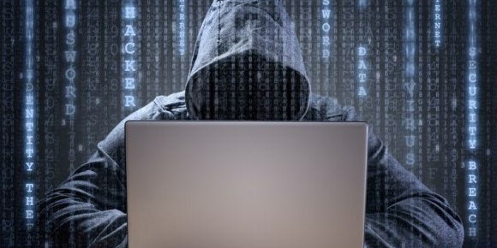 Finomial tweet media