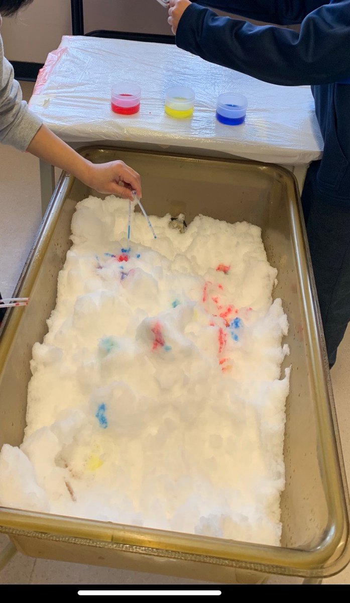 fd_sinclair's tweet photo. Snow has provided some new learning opportunities for our Gr.2 classes with Ms. Cahen and @SaraheMunton - including some snow play as well! #sinclairlearns #sd36learn #SurreyBC https://t.co/6mQ6QnWhHP
