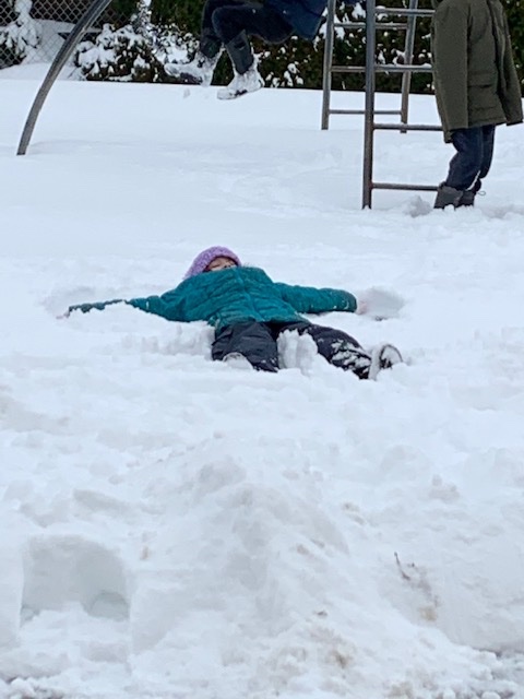 fd_sinclair's tweet photo. Snow has provided some new learning opportunities for our Gr.2 classes with Ms. Cahen and @SaraheMunton - including some snow play as well! #sinclairlearns #sd36learn #SurreyBC https://t.co/6mQ6QnWhHP