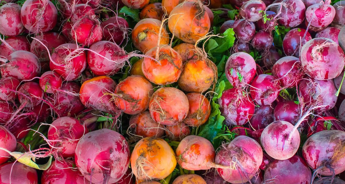 eboneats's tweet photo. GREAT READ
"Farmers markets give African Americans and other marginalized groups more opportunity to practice entrepreneurship."
What Farmers Markets Do for Urban Neighborhoods: https://t.co/qklVtgVOE7 #eboneats https://t.co/aR3uL7dlRp