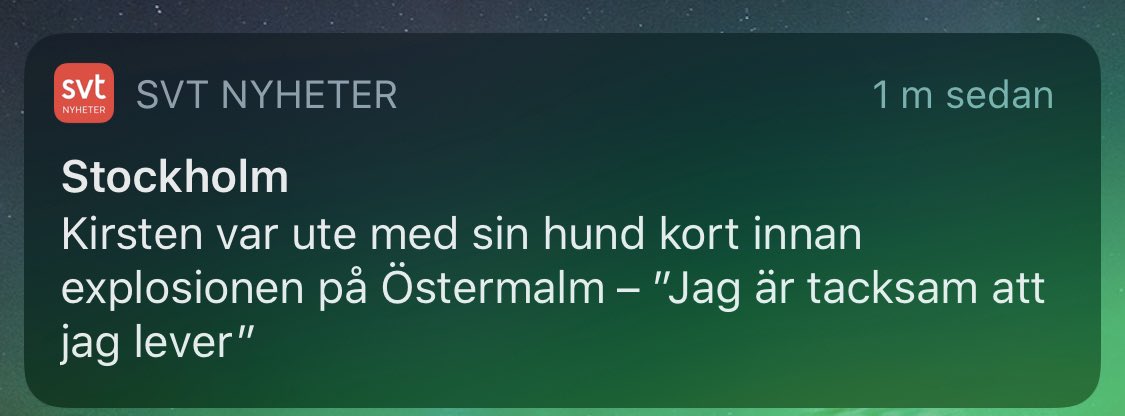 magfro's tweet photo. @svtstockholm Alltså jag prenumererar inte på era breaking News för att bli väckt med information om hur random hundägare funderar. Skärp er. https://t.co/Wo7lJFFxPl