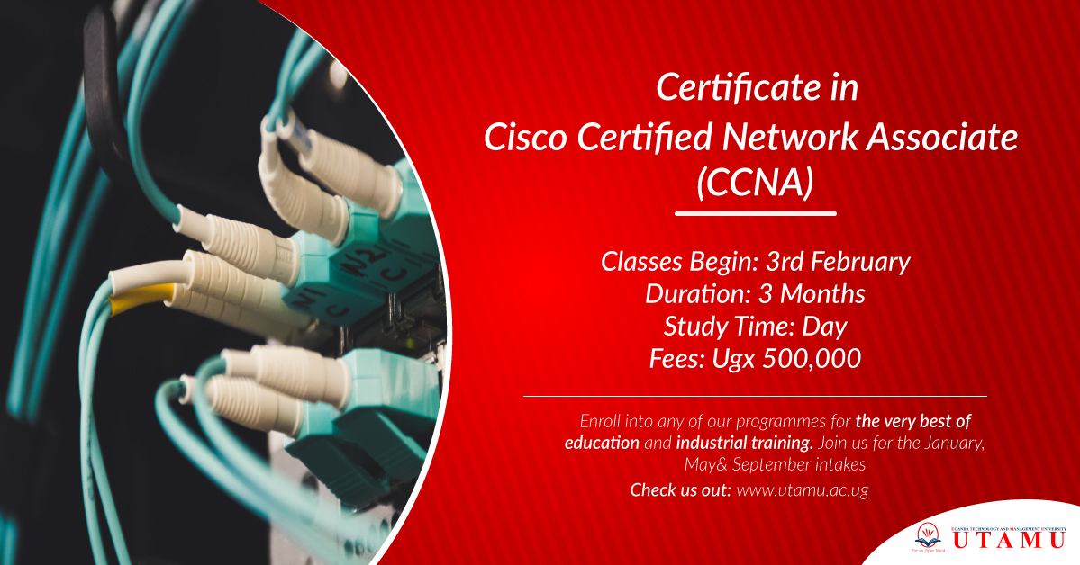 utamu_uni's tweet photo. Cisco Certified Network Associate (CCNA)
Date: 3rd February 2020
Duration: 5 weeks
Fees: Ugx 500,000
Apply Online: https://t.co/HHDOByvKtc…
#IamUTAMU #UTAMUUniversity @Sadiqyusuf12 https://t.co/Gjvi0ukLhj