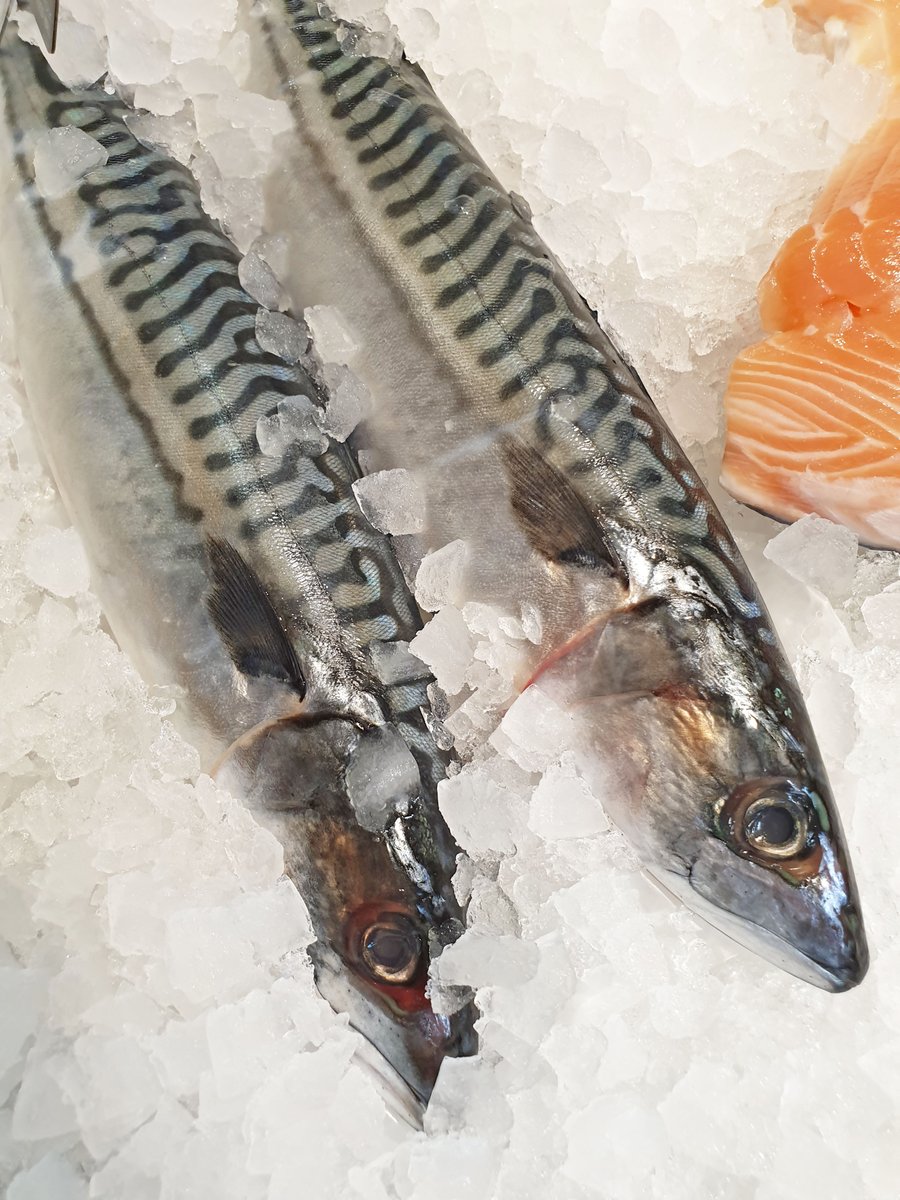 suffolkfoodhall's tweet image. You know what day it is? That's right, it's #freshfishfriday our fishmonger counter is open today and tomorrow, pick up some fresh fish from the counter or place your order for next week. suffolkfoodhall.co.uk