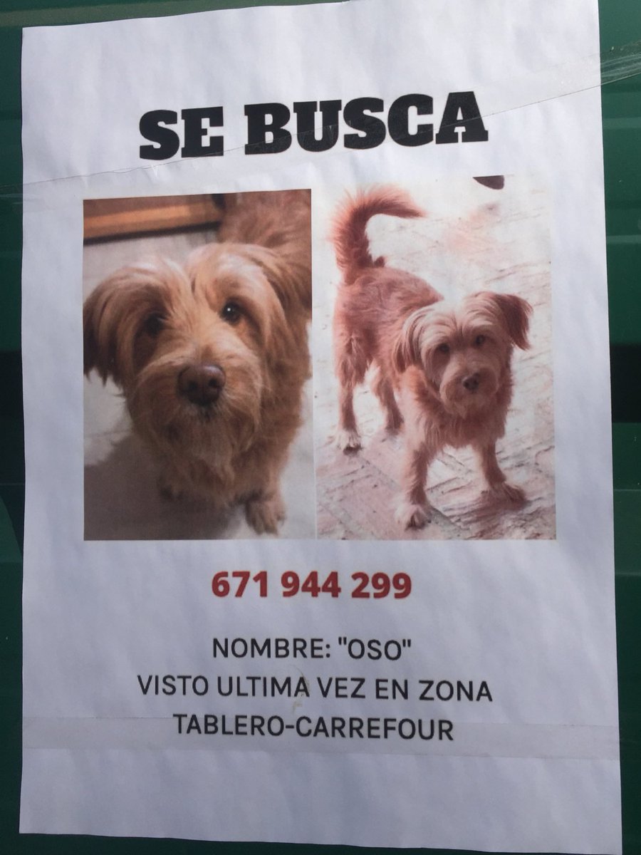 freesxvl's tweet image. Porfa compartid. Es de Córdoba