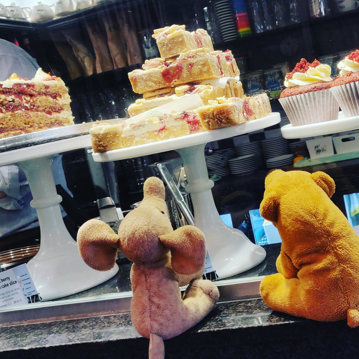 ToeterBeertje's tweet photo. that looks yummy! https://t.co/u5vYBaHmg1