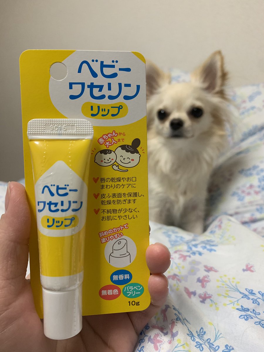 ワセリン Twitter Search