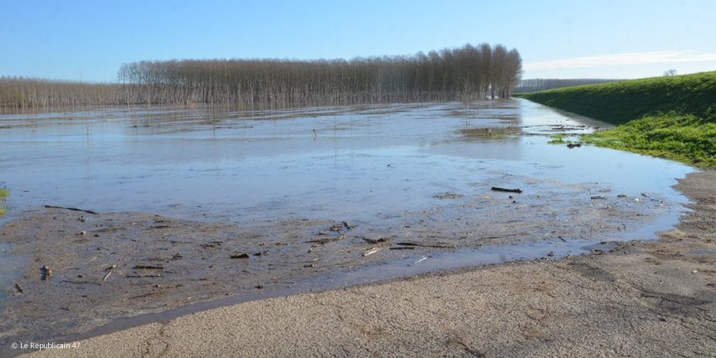 Emmanuel Guibert tweet media