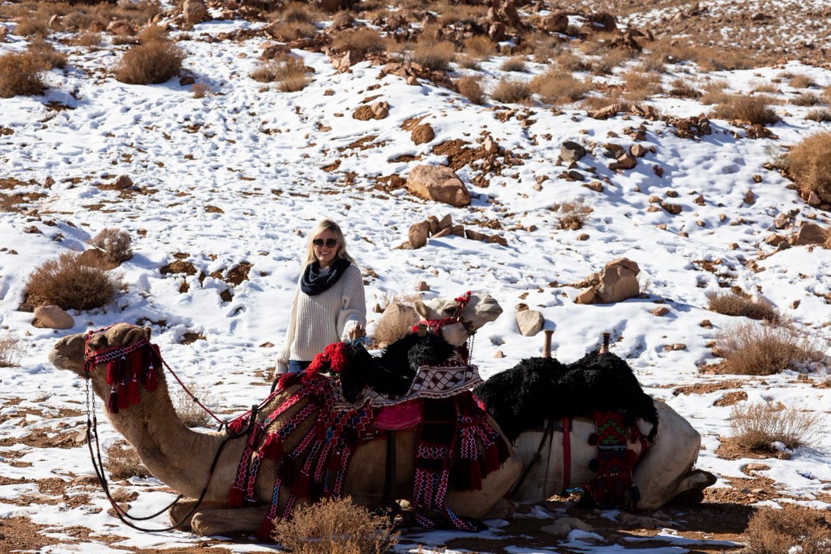VisitSaudiAR's tweet photo. مغامرة غير متوقعة في #شتاء_السعودية ❄️
مجموعة جديدة ومتنوعة من الباقات السياحية مليئة بالاكتشاف والمغامرة.
احجز باقتك واستمتع برحلة سياحية لا تنسى
https://t.co/HNDH2FX1Eq

#زوروا_السعودية https://t.co/o3z2kcdcay