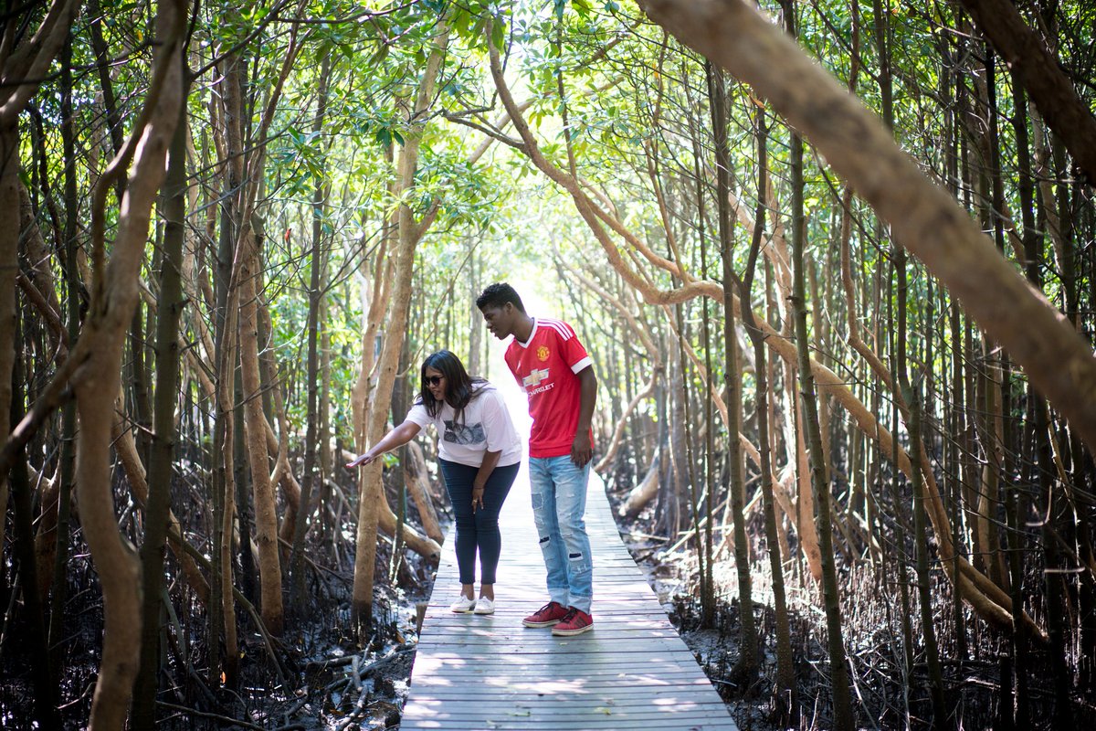 Green_Corridors's tweet photo. #nature  #ecotourism @HappyHippoAccom https://t.co/nzMeU7sNJB