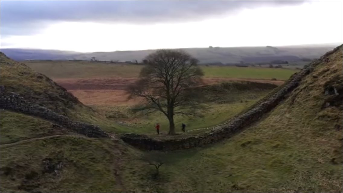 hiddenstrength4's tweet photo. 13 miles to go for Trish. Let’s will her home 💪🥳🥴👍🙏👣🧠😎 https://t.co/uSigUvsNbG