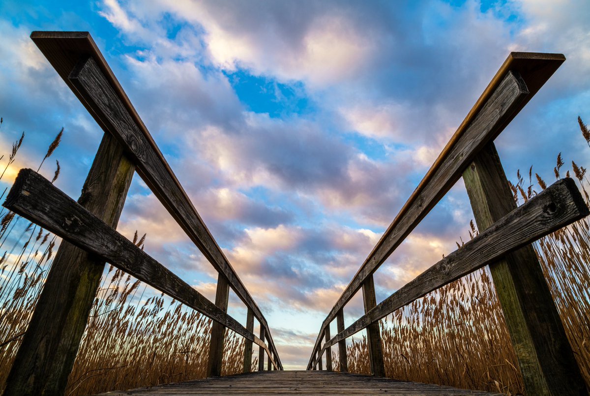 Dominick tweet media