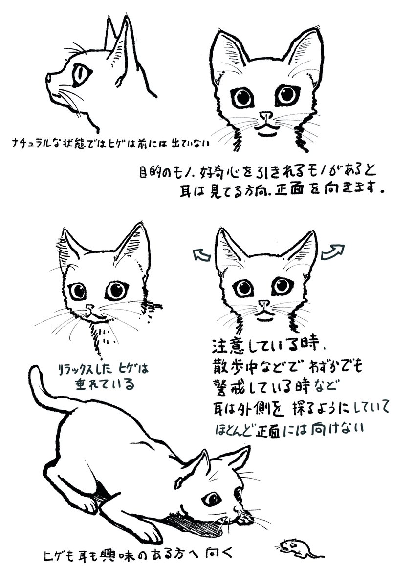 ネコカクマク より
ネコカクマク 〜猫画上手く描ける方法〜 | studioff https://t.co/nfoFJG60xu #booth_pm 