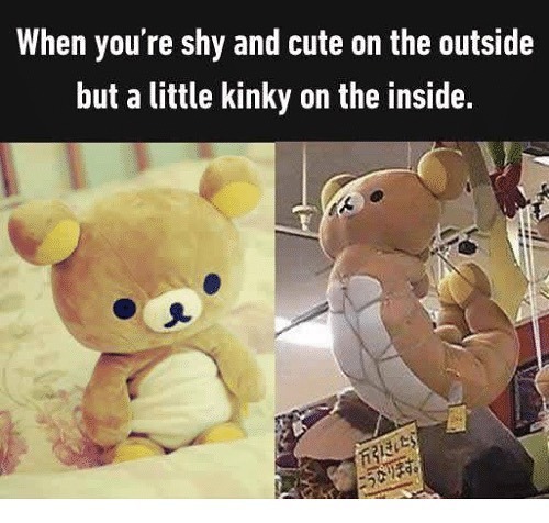 ToddCouples's tweet photo. Happy Friday. Stay kinky folks! 
#toddcouples #tampabay #portrichey #couples #adults #adultstore #kinky #shy #foreplay #tieup #passion #play #pleasure https://t.co/v8jd13PKfB