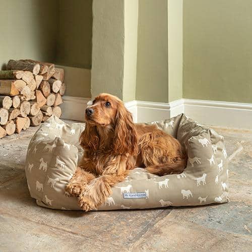 The Stylish Dog Co Stylishdog Twitter