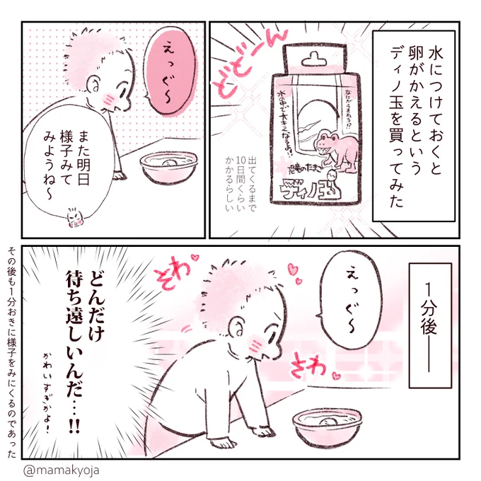 先週末、恐竜の卵を買ってみた‼️?
命名:えっぐ
(水につけておくと卵がかえるんだけど、おしゃれな容器がなくて調理用のボールにいれてる?)
#1歳11カ月 #育児漫画 #ほっぺ丸日記 