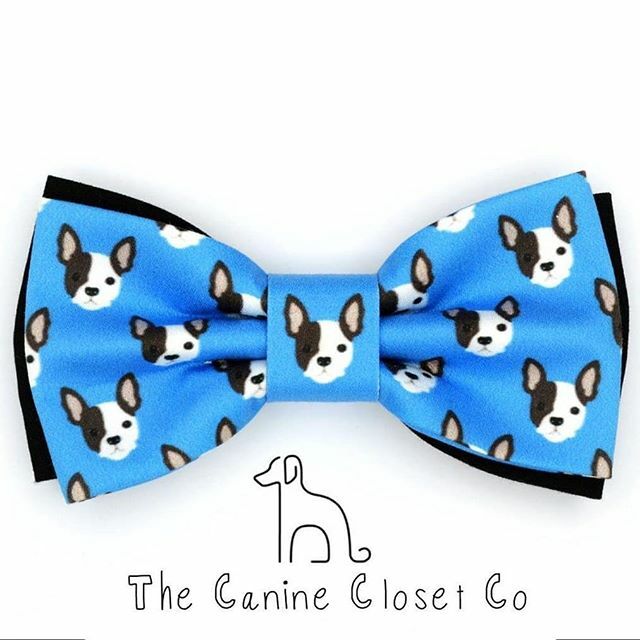 CapitalHusky's tweet photo. 🛒🛒Get this fancy and luxury  dog boutiques now with a reasonable price 💸💸
.
📧📩Dm me or @canineclosetco .
.
.
.
#dogcollarswag #dogcollarforsale #dogcollar #dogcollarsforsale #dogcollars #dogcollarshandmade #dogcollarsforpurchase #dogcollarshop #d… https://t.co/MC6Mi5E7az https://t.co/hsxWBXPjUE