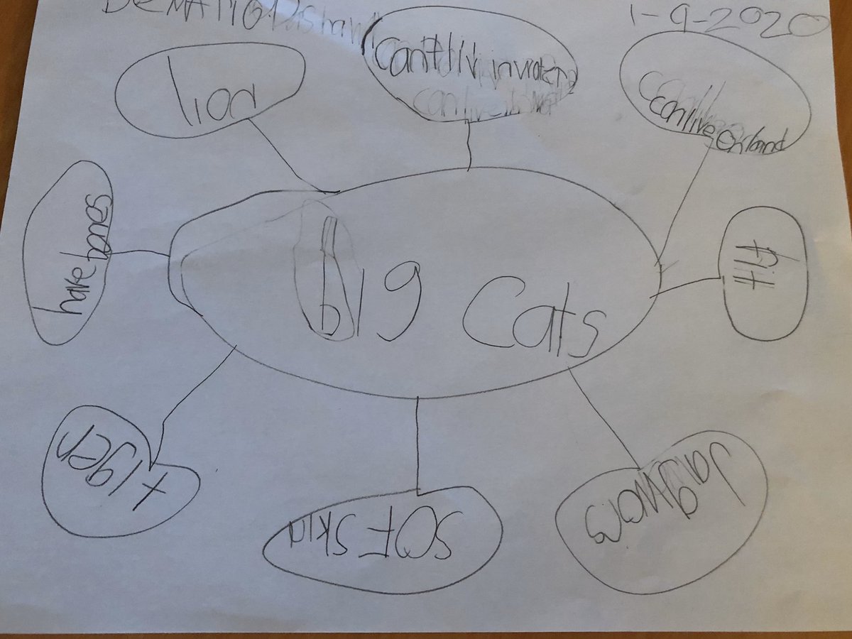 MrsMilburnNBCT's tweet image. Our #TeamLakewood kinders are finishing up their #ARCCore Research Lab in Zoology &amp;amp; we used a #ThinkingMap to help them organize and summarize their learning! Check out this amazing vocabulary infused in a student’s writing! KINDERGARTEN! 🤩📝#KnowledgeMatters #CurriculumMatters