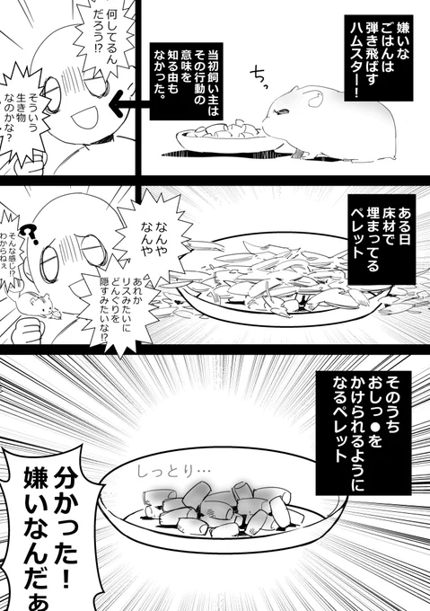 お気に入りのペレットを見つけてからは粗相はしなくなりました。放り投げは、たまにする。
#ハムスター漫画 