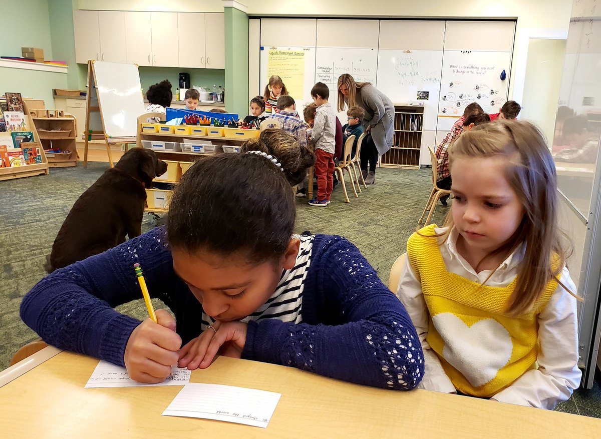 Maria Carpenter tweet media