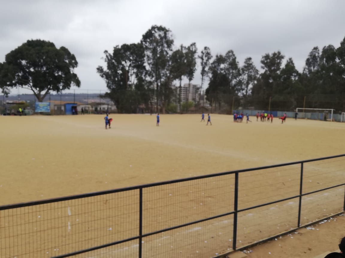 ARFA QUINTA REGION tweet media