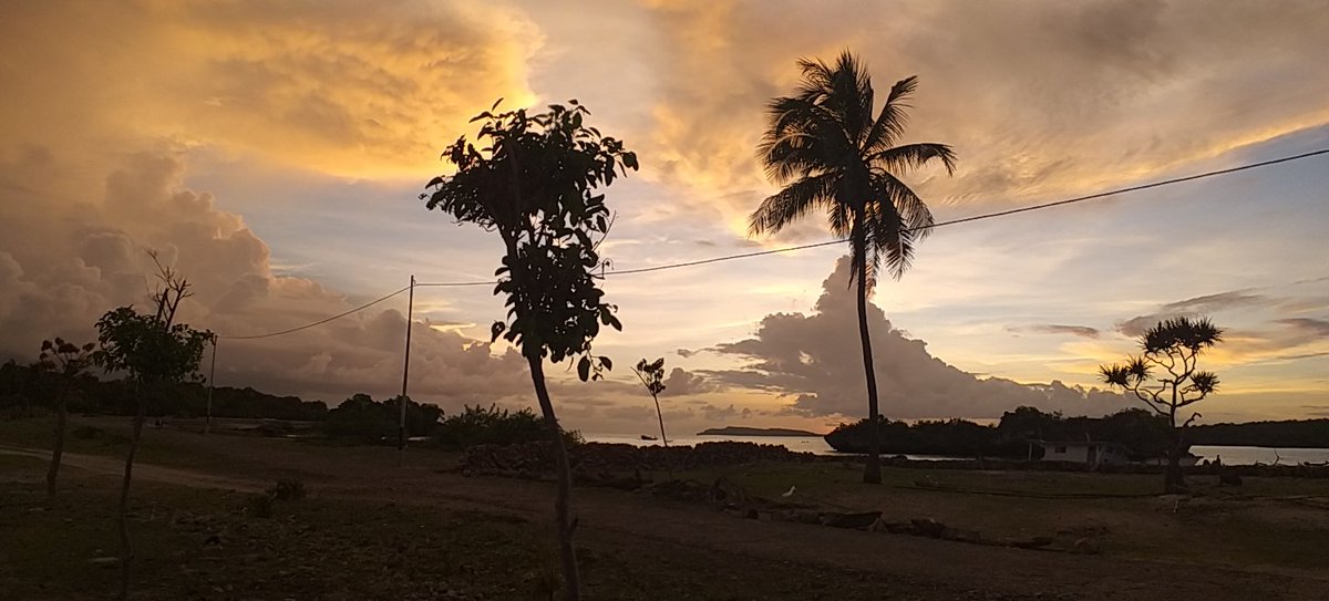BHenukh's tweet photo. Lukisan alam desa binaan ku....indahnya selatan indonesia pulau rote ndao ....desa oeseli https://t.co/PiGrQHf4TE