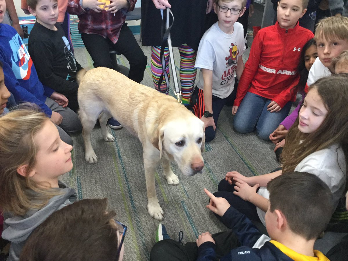 Katzmarek4's tweet photo. Yesterday we had a four legged friend visit...don’t tell Jet. Ha https://t.co/wShEV2O0LW