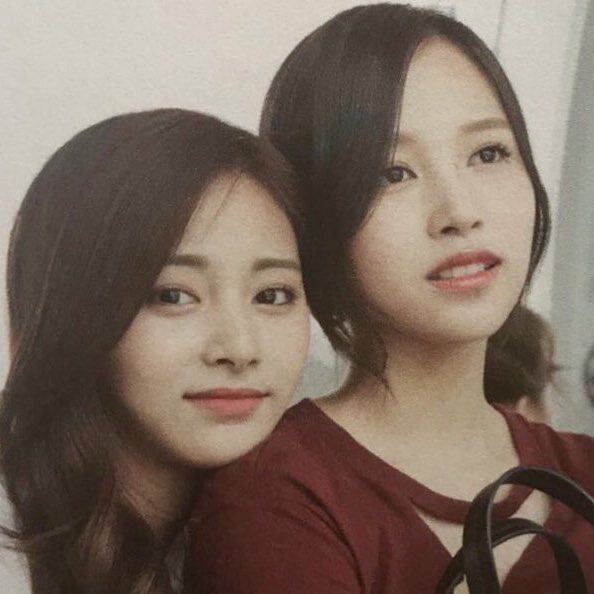 Cuties   #MiTzu everyday