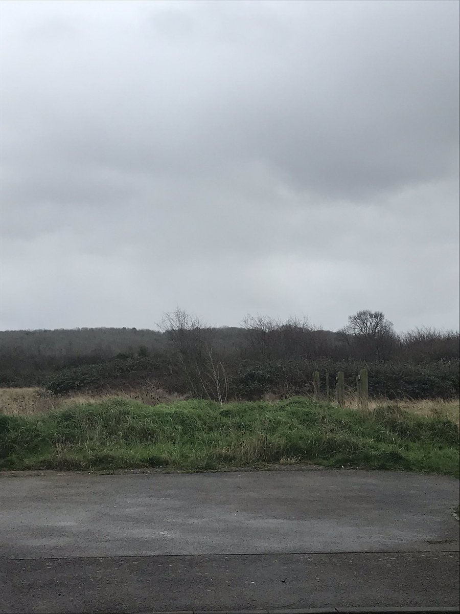 rochbarett's tweet image. #stopruiningthecountryside #greedydevelopers another travesty of more housing on another beauty spot. #sickofdevelopers #greed #endangeringnsture