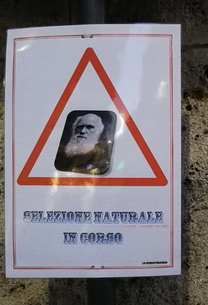 LauCastelletti's tweet photo. #perstrada #brescia #lostendiversomio https://t.co/FG5CDEZGwc