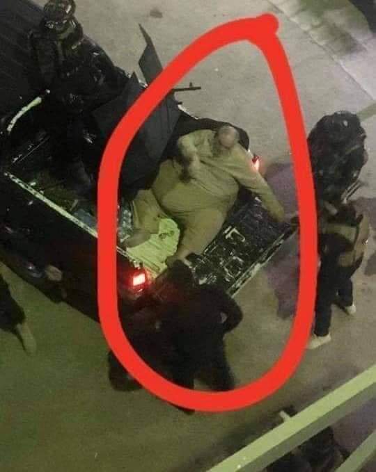 Sputnik Türkiye tweet media