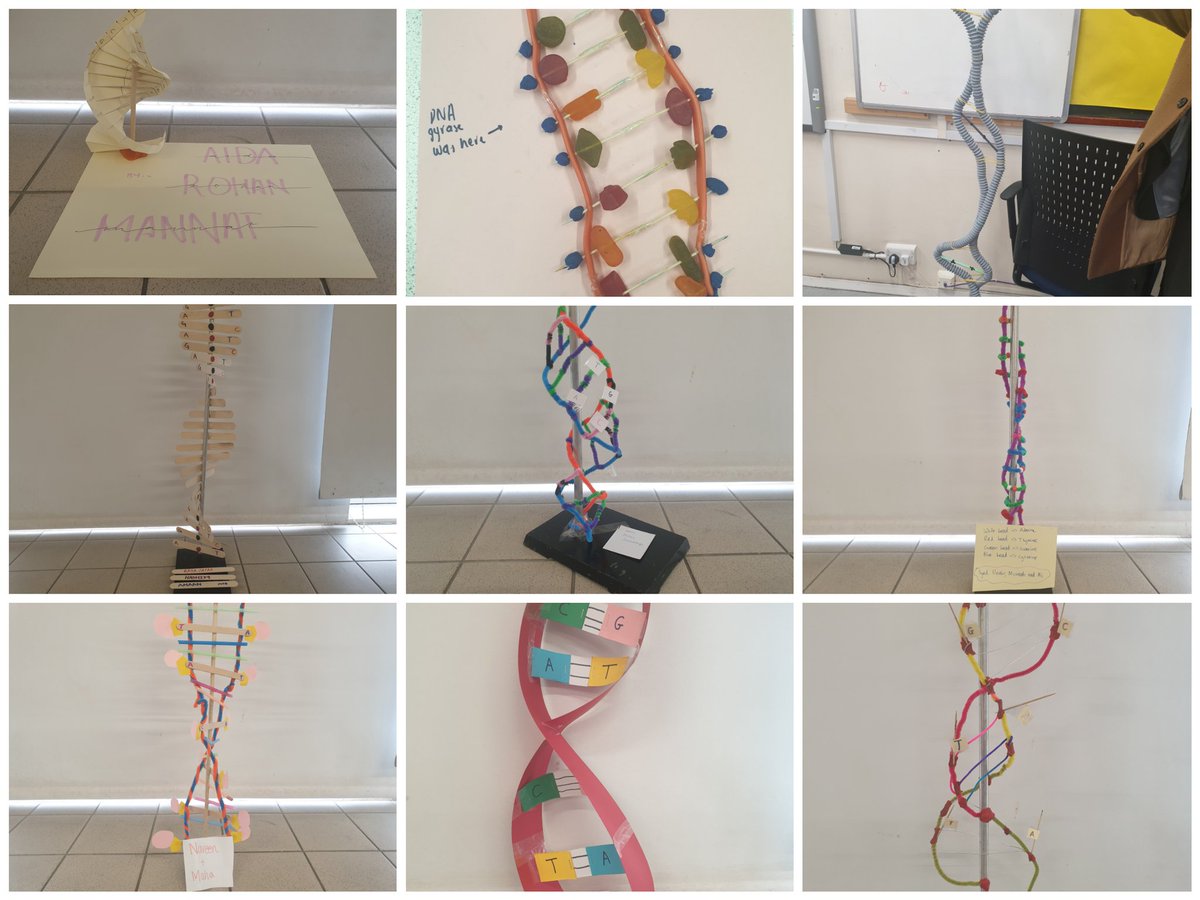 HGS_Sci's tweet photo. Check out our DNA models! https://t.co/HB8hqOquxr