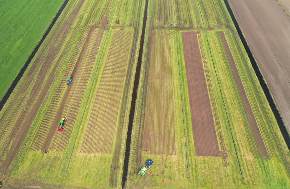 Kennis loonwerker bepaalt succes van maisteelt op veen <a href="/DLVadvies/">$MANTA NETWORK</a> <a href="/ProjectenLTON/">Projecten LTO Noord</a> <a href="/provinsje/">Provincie Fryslân</a>

deloonwerker.nl/nieuwsartikel/…