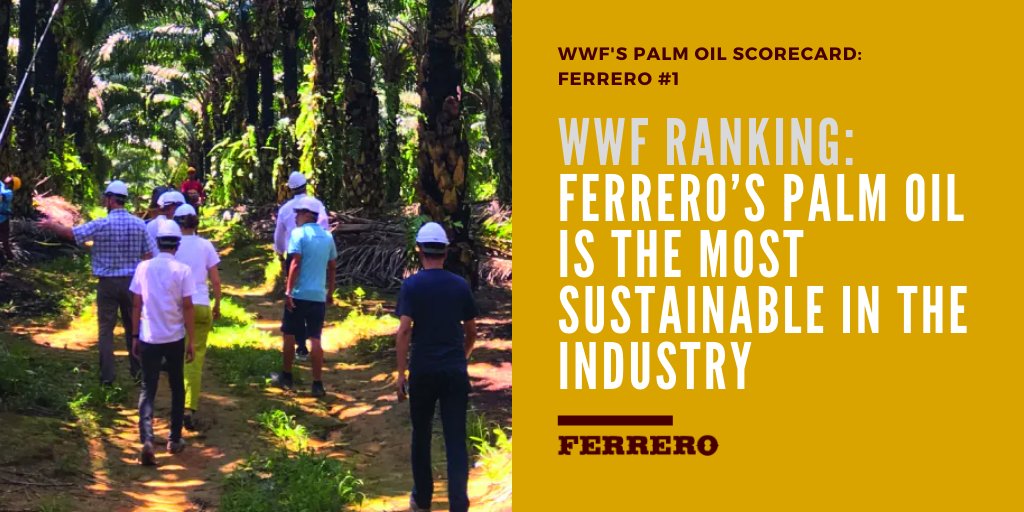 Ferrero_EU's tweet photo. With a score of 21.5 out of 22, @WWF has ranked Ferrero number 1 in their latest Palm Oil Buyers Scorecard👏. The result shows that sustainable &amp; #deforestation-free #PalmOil🌴 is achievable &amp; should be further promoted🙌

👉 https://t.co/2XPajda31k 

#SustainablePalmOil https://t.co/I7hYXvWbGl
