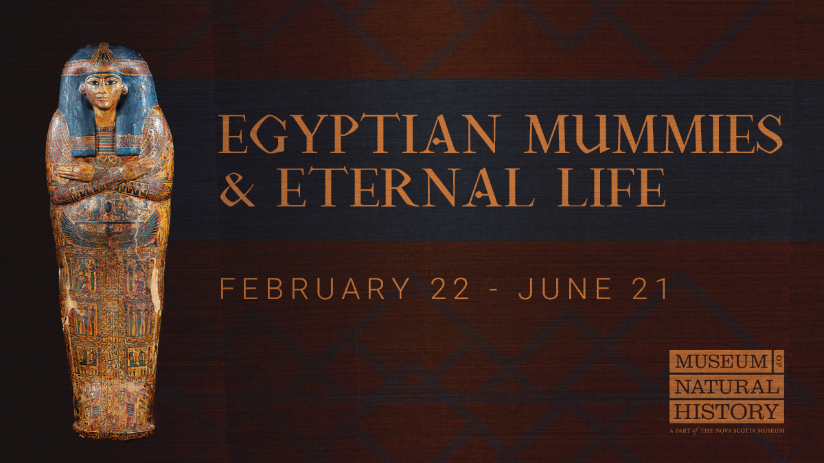 Egyptian Mummies and Eternal Life