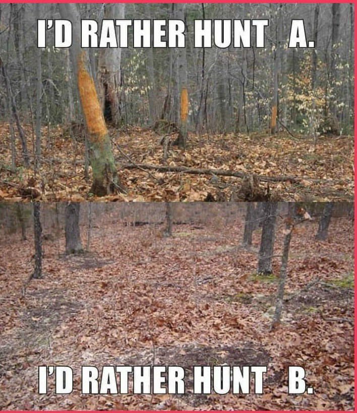 ItsBigNick's tweet photo. A or B? #deersign #fridayfeels #mobsquadoutdoors https://t.co/NGON2FvBbd