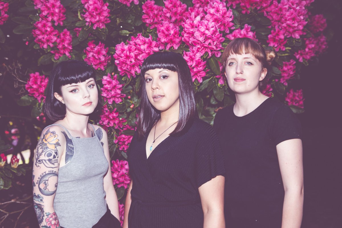 Peter Guy tweet media