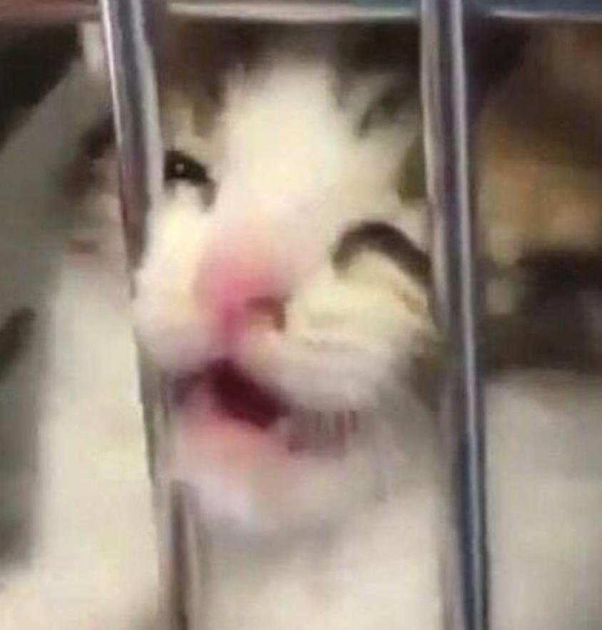 Bran era necesario bajarse todos esos calmantes con un vino?........ Bran?