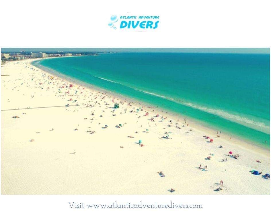 AtlAdvDivers's tweet photo. This Florida beach is definitely worth to check out if you’re going

.
.
.
.
.
.
https://t.co/Dk7EJMkA7T
#atlanticadventuredivers #dive #underwaterworld #scubadiving #scuba #instadive #scubadivinggirls #divinglife #island #diving https://t.co/RiXM6wwQzV