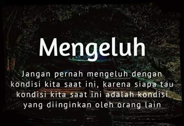 Bijak Network tweet media