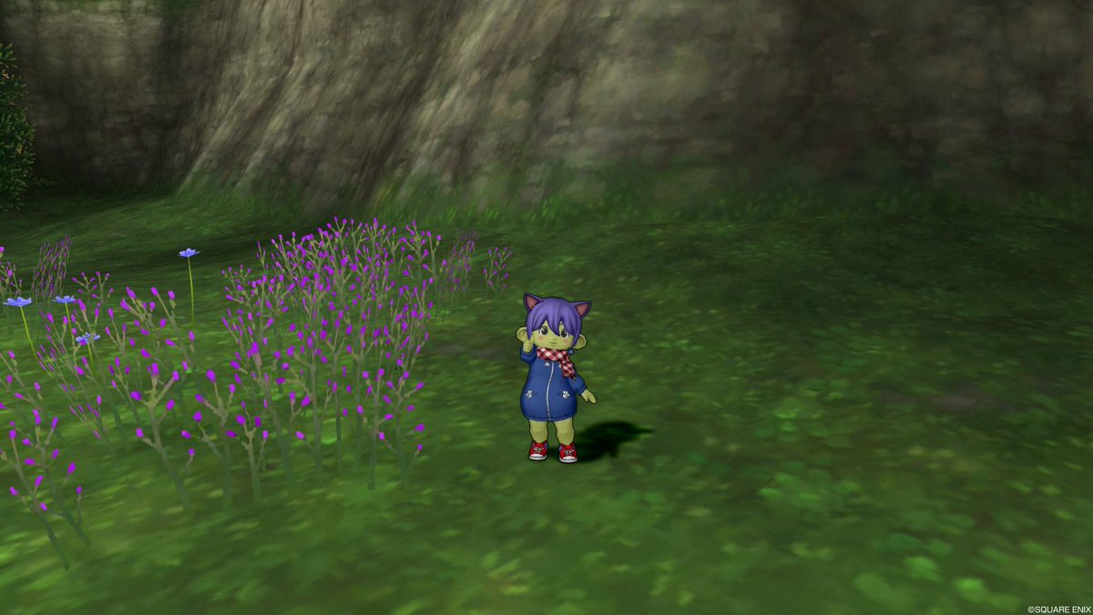 らいむ 真のロヴォス高地e 8です すぐ近くにシスター居るので 真のロヴォス高地 山地前 で飛べます