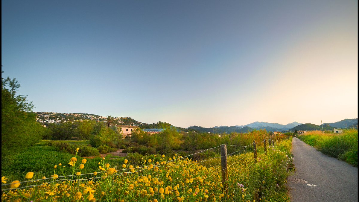 SW Mallorca Rentals tweet media