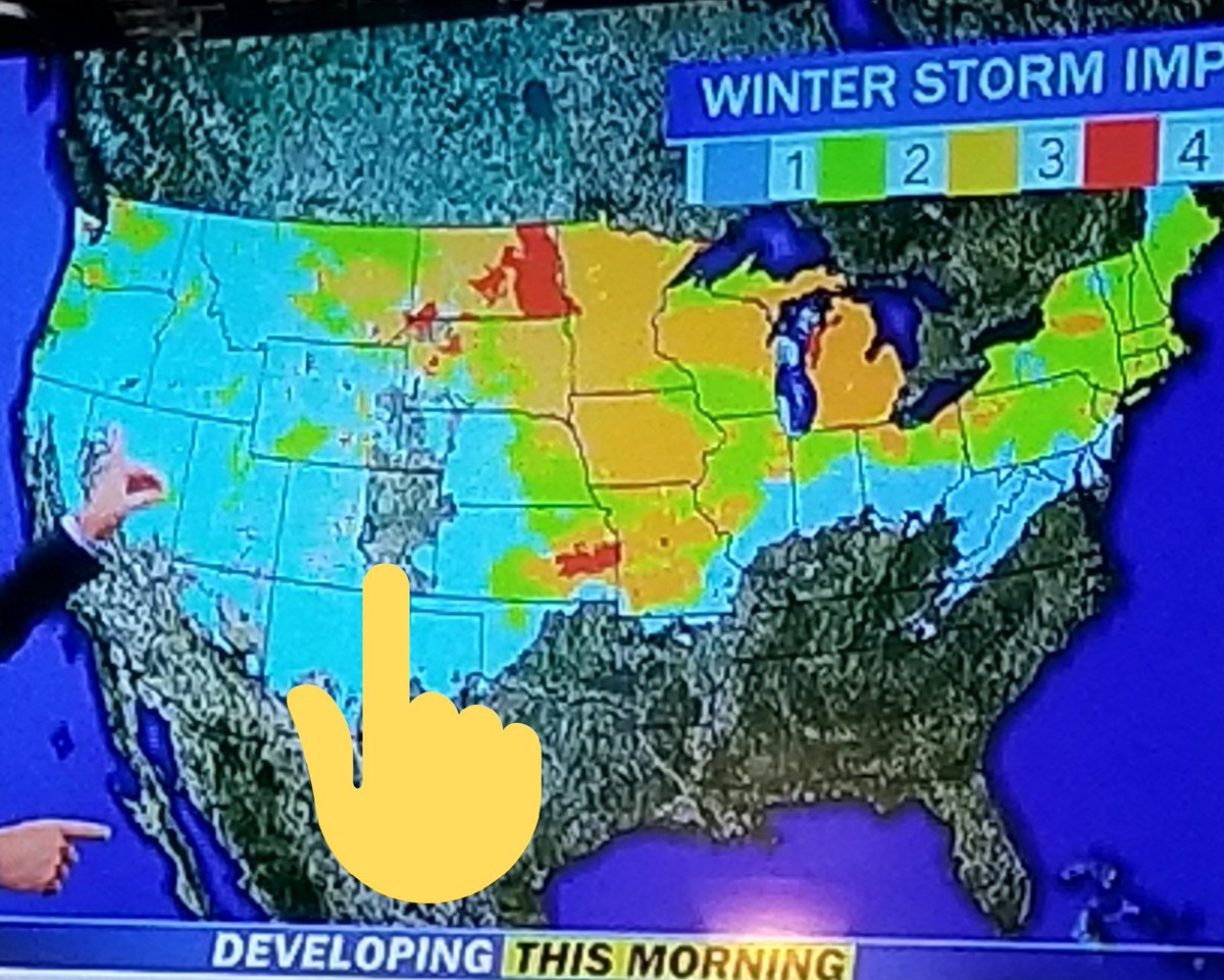 Carrie Dow tweet media