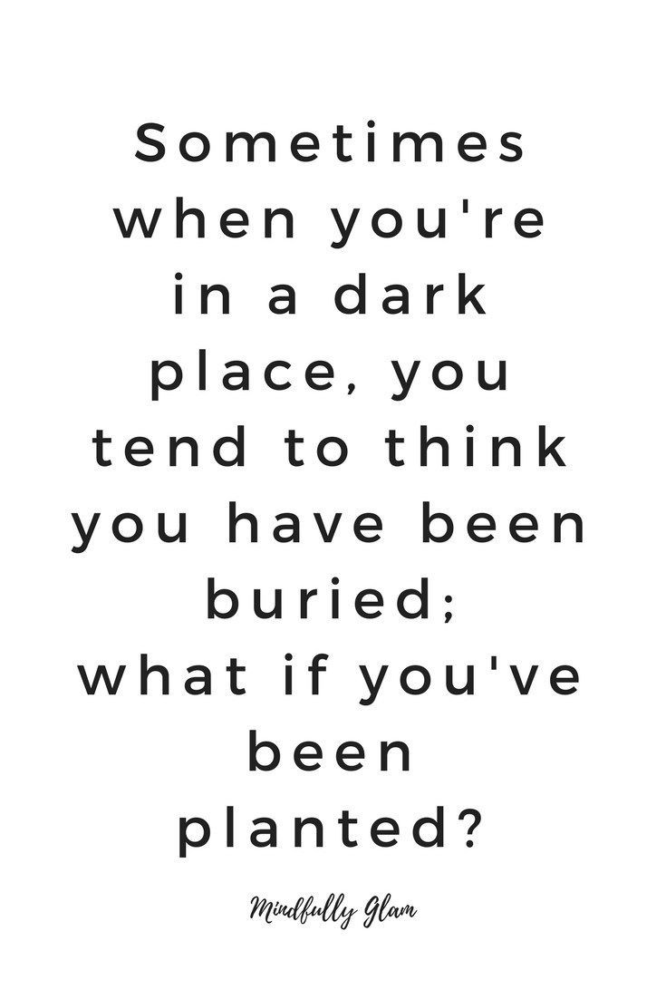 ComplexXyan's tweet image. #FridayFeeling Grow where you are planted. 

#morningmotivation