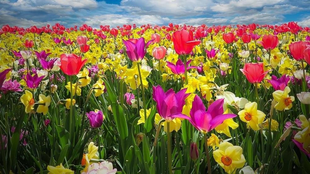 MoorlandsGF's tweet photo. Spring is just around the corner and now is the ideal time to start thinking about your outdoor space ready to get the most out of it this year 🌷 

https://t.co/9jnINwZWIr has some inspiration or drop us a message if you want to chat through ideas 💡 #sustainable #BuiltToLast https://t.co/1BEs0v5LNE