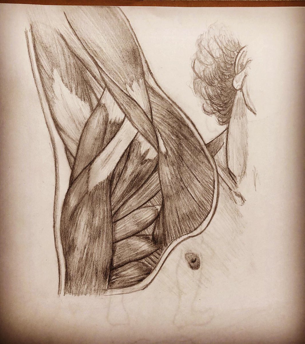MachoScientist2's tweet photo. 最近のスケッチまとめ✏️ https://t.co/rWc0QGzZQ0