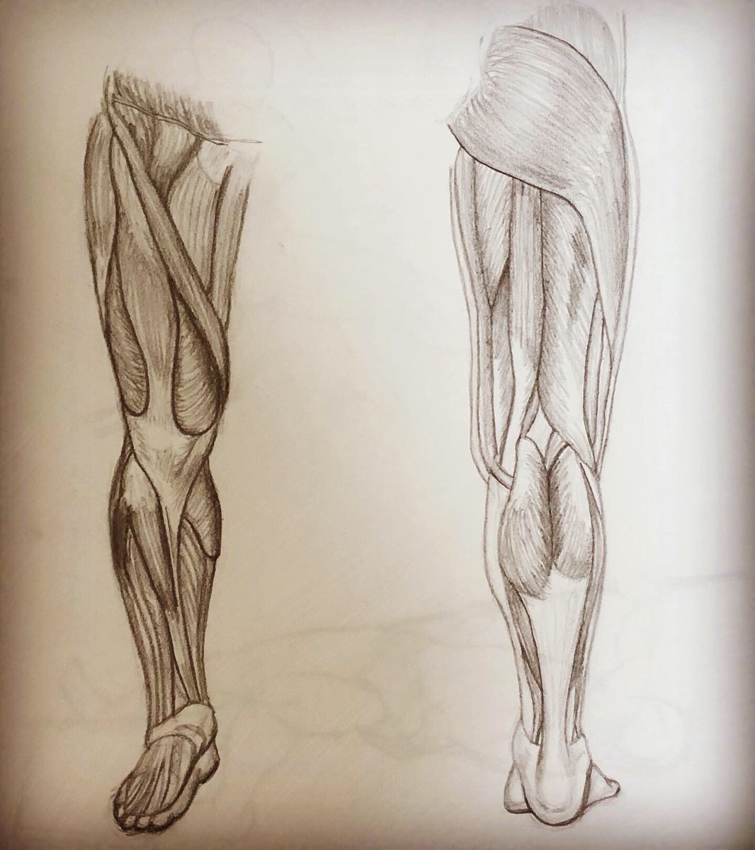 MachoScientist2's tweet photo. 最近のスケッチまとめ✏️ https://t.co/rWc0QGzZQ0